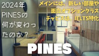 【PINES】いい学校は進化する。PINESの最新アップデートはこちらです【学校訪問動画】